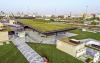 Green roofs in a park with walkways and lawn